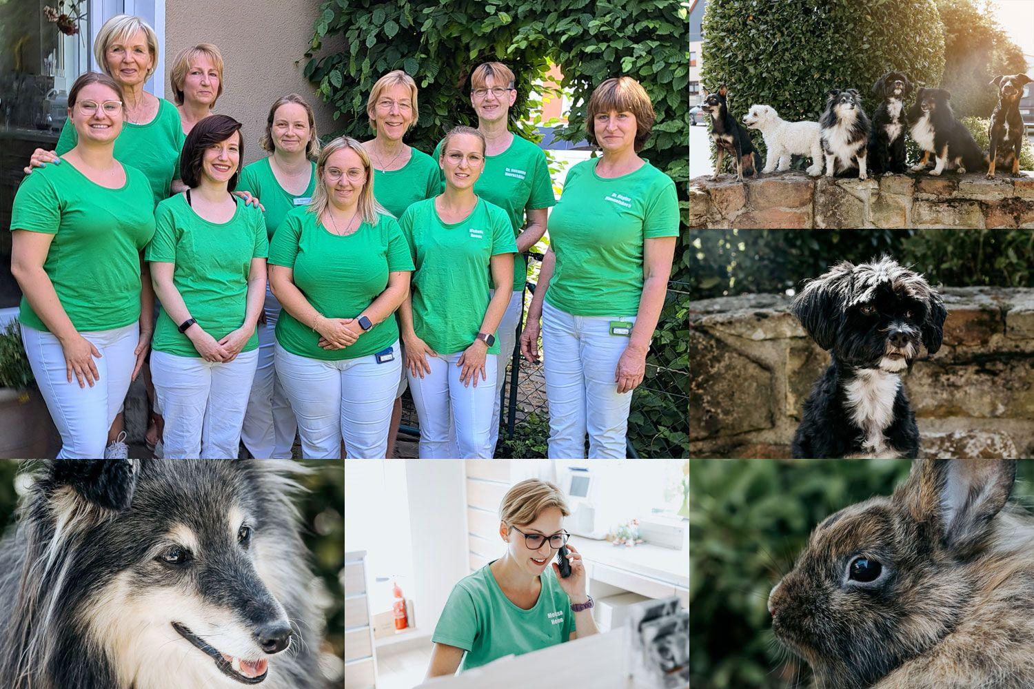 Tierarztpraxis Dr. Himmelsbach - unsere Vision